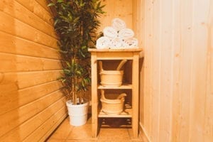 Towels and a plant in the spa of the Richmond holidays ski chalet