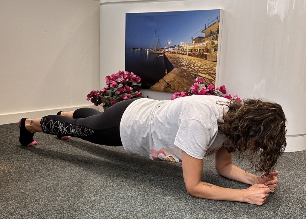 Standard Plank
