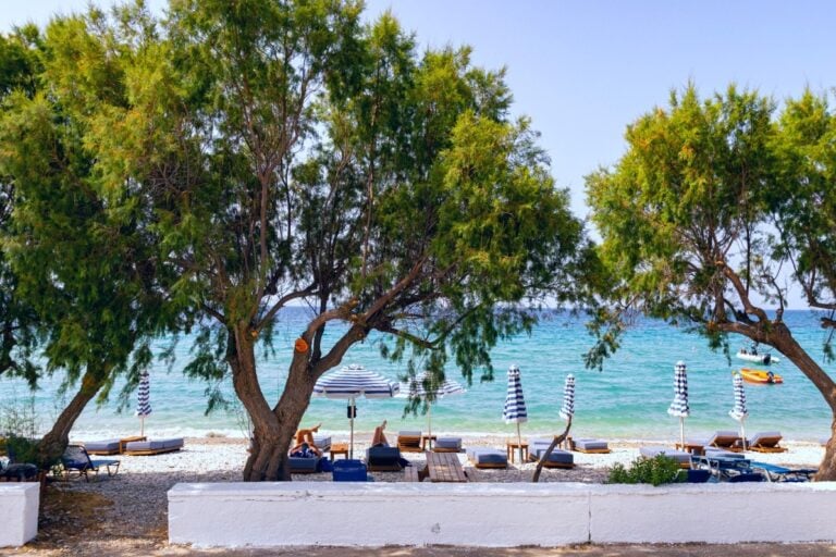 A photo taken from the back of the hotel overlooking the beach