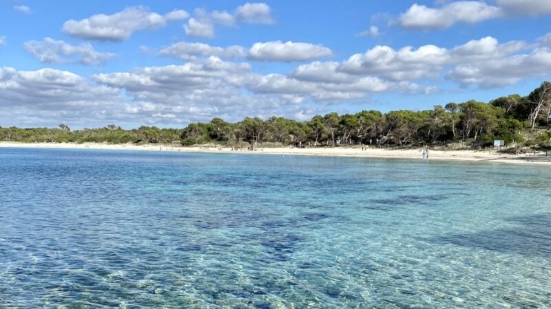 Mallorca Beach Ocean View