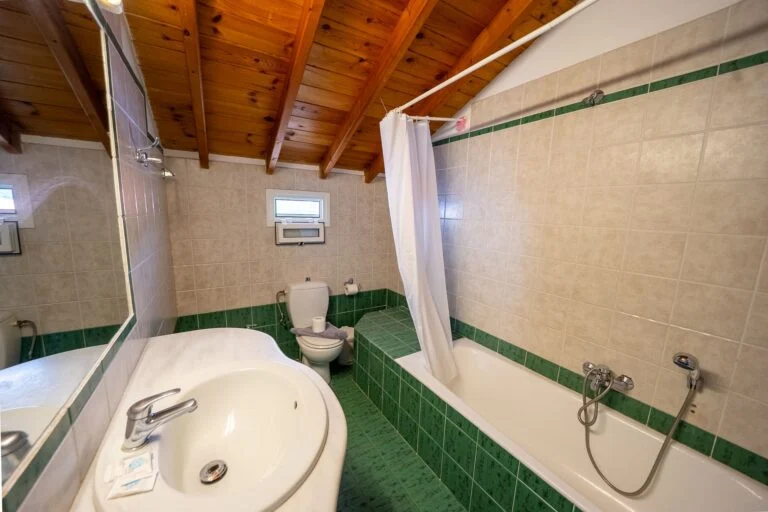 Penthouse Bathroom