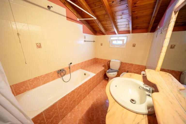 Penthouse Suite (5)
