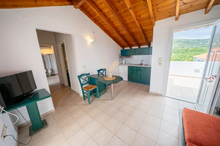 Penthouse Suite (7)