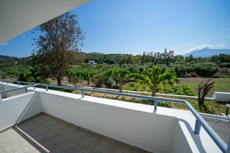 Reception Level East Balcony View