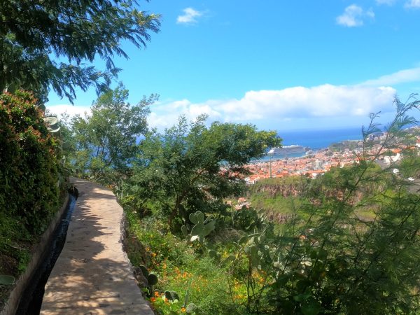Levada Walk