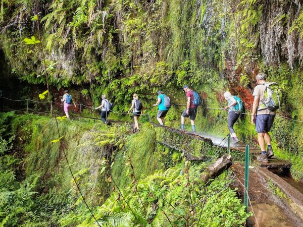 Levada Walk